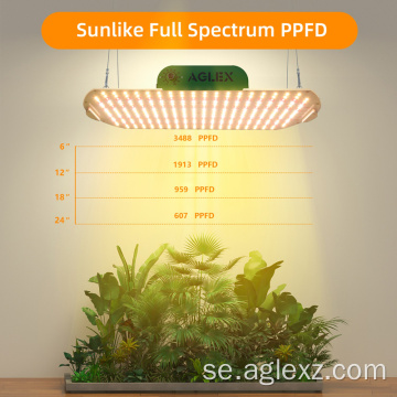 Full Spectrum LED -odlingsljus för grönsaker